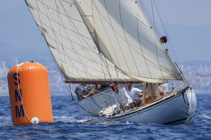 VVP_2023-07800.jpg