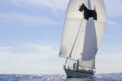 O60A7346.jpg