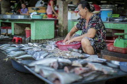 BenTre-66.jpg