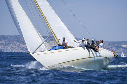VVP_2023-08555.jpg