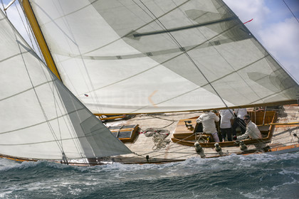 O60A5504.jpg