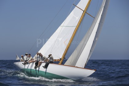 A29X6511.jpg