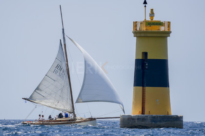 VVP_2023-08732.jpg