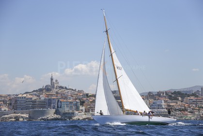 A29X8972.jpg