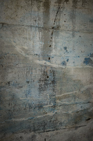 O60A9036.jpg
