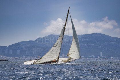 VVP_2023-08657.jpg
