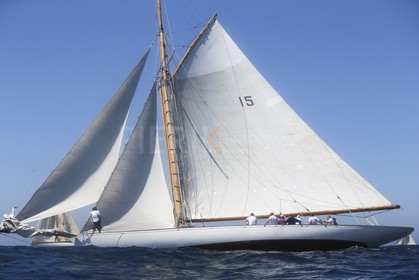 A29X6536.jpg