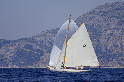 _DSC3728.jpg