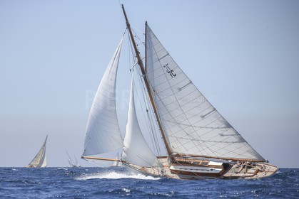 A29X8950.jpg