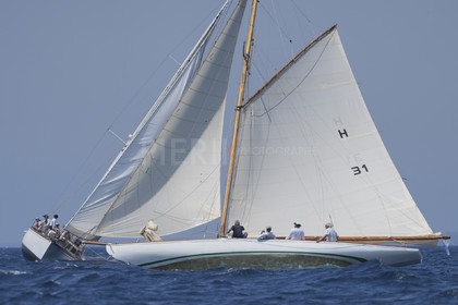 VVP_2023-08598.jpg