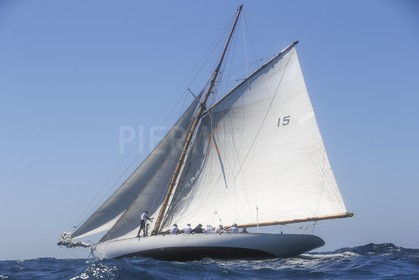 A29X6546.jpg