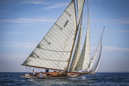 A29X9549.jpg