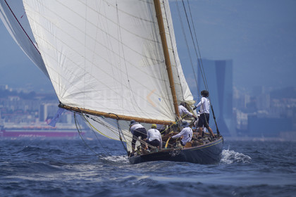 VVP_2023-7529.jpg