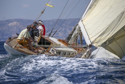 A29X9247.jpg