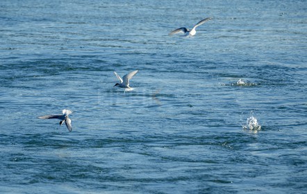 A29X4734.jpg