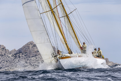 A29X2180.jpg