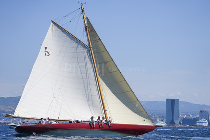 VVP_2023-08308.jpg