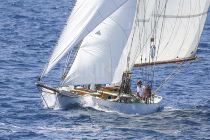 O60A1509.jpg