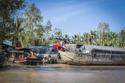 BenTre-26.jpg
