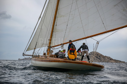 O60A7838.jpg