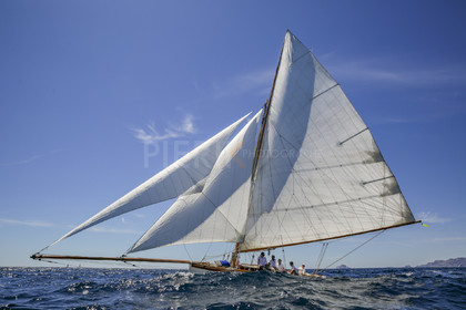 O60A8209.jpg