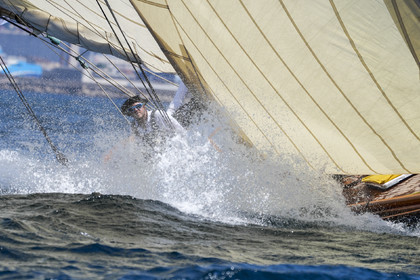 VVP_2023-08358.jpg