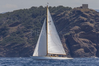 A29X7475.jpg