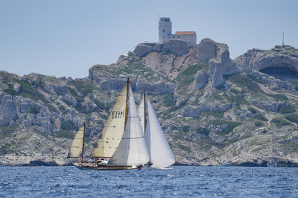 VVP_2023-07686.jpg