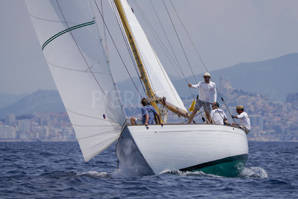 VVP_2023-7679.jpg