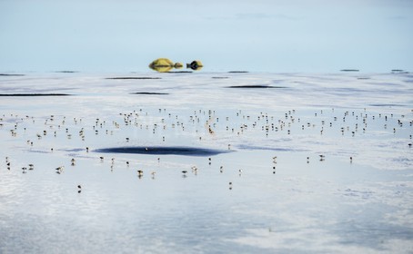 A29X4840.jpg