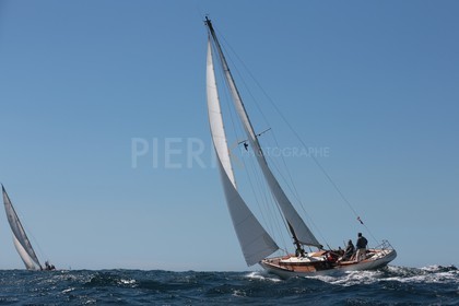 Palynodie