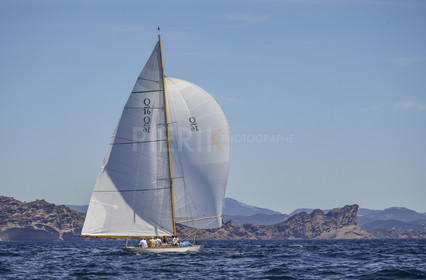 A29X8878.jpg