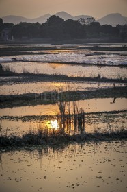 Tam Coc-67.jpg