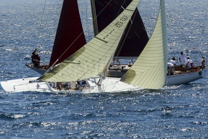 A29X1441.jpg