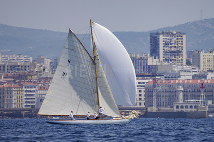 VVP_2023-6976.jpg