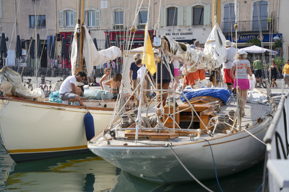 VVP_2023-08162.jpg