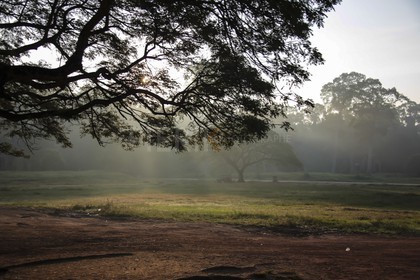 07122013-BL6A0663.jpg