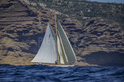 A29X9096.jpg