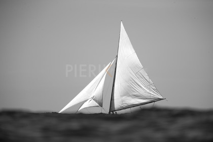 A29X8681.jpg