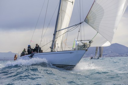 A29X1185.jpg