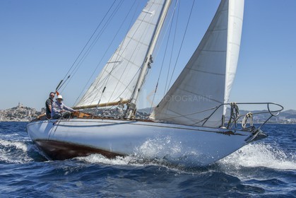 A29X0294.jpg