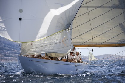 A29X2308.jpg