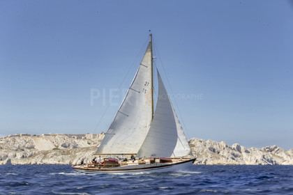 A29X1119.jpg