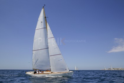 O60A8535.jpg