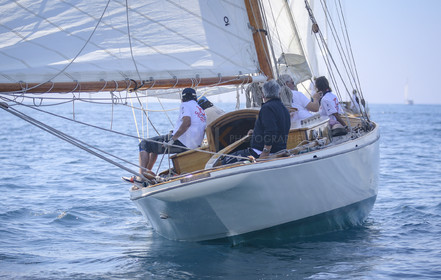 A29X7118.jpg
