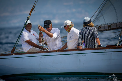 A29X1431.jpg