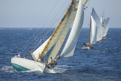A29X1449.jpg