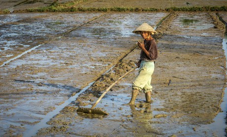 Hoi An-46.jpg