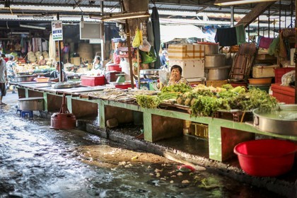 BenTre-78.jpg