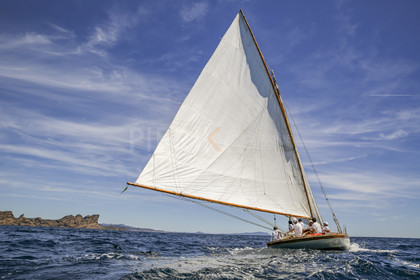 O60A8168.jpg